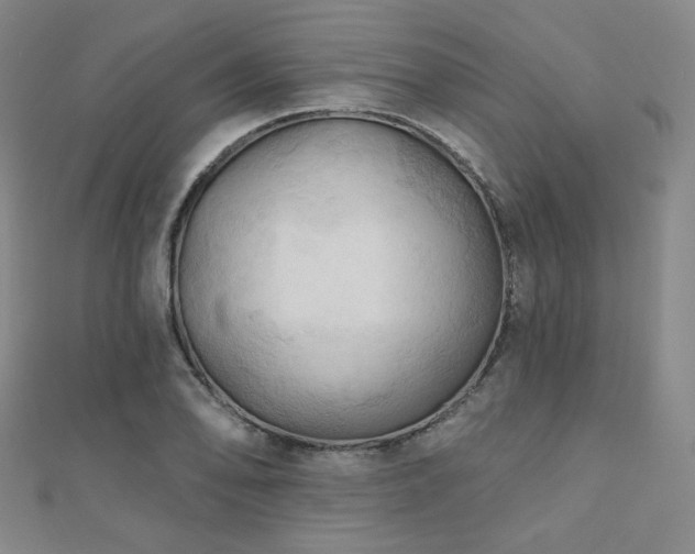X0000110701078200906121329