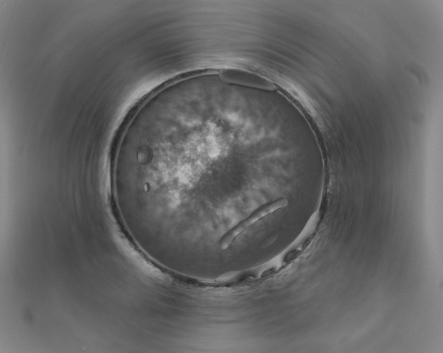 X0000110701080200906121329