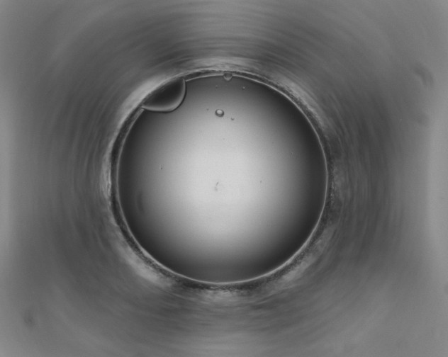X0000110701082200906121329