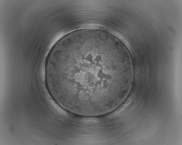 X0000110701083200906121329