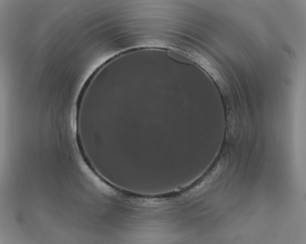 X0000110701084200906121329