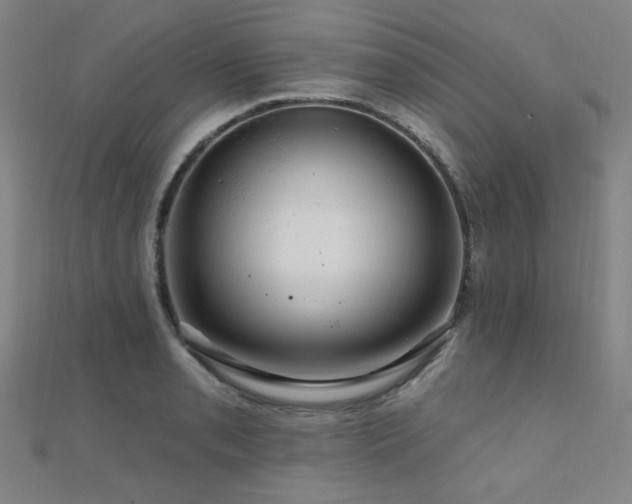 X0000110701085200906121328