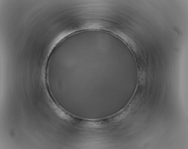 X0000110701086200906121328