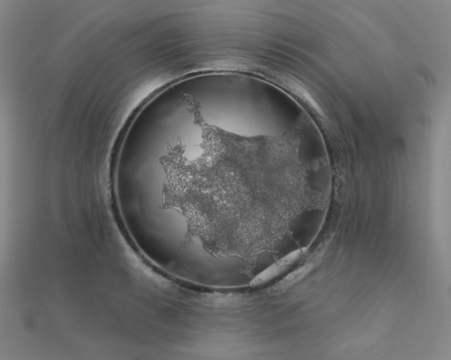 X0000110701087200906121328