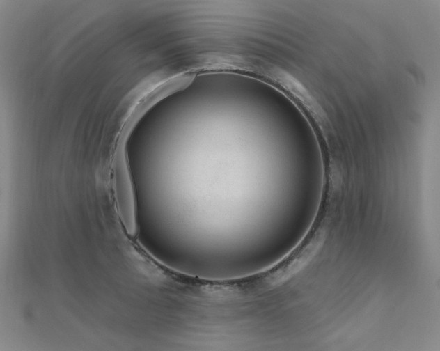 X0000110701089200906121328