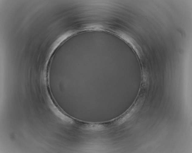 X0000110701090200906121328