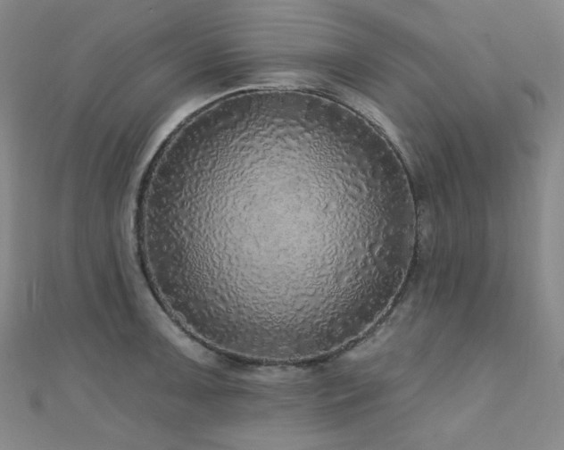 X0000110701091200906121328