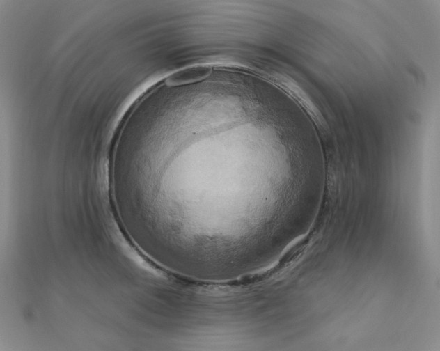 X0000110701092200906121328