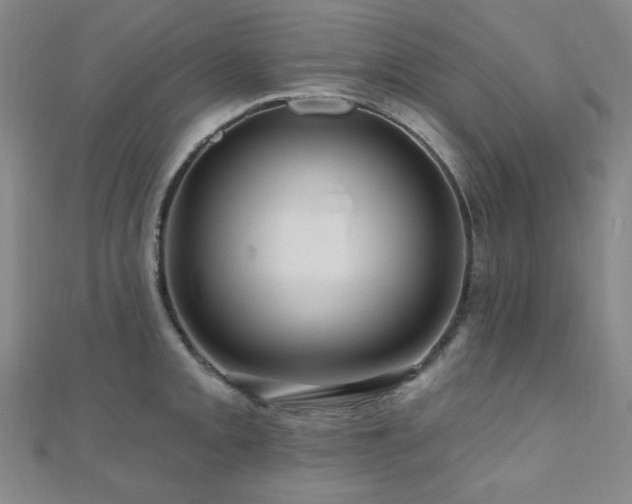 X0000110701093200906121328