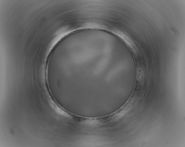 X0000110701094200906121328