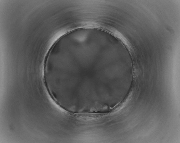 X0000110701095200906121328