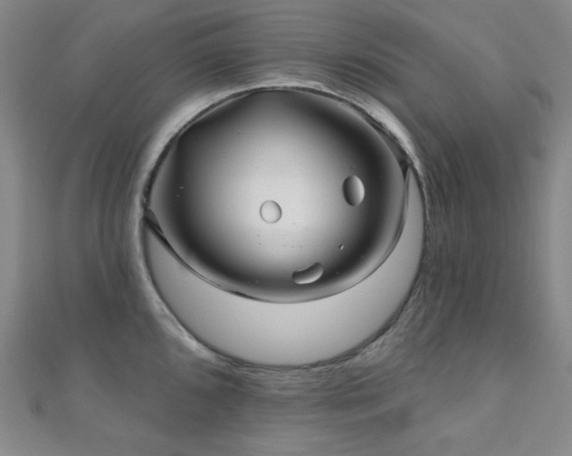 X0000110701096200906121328