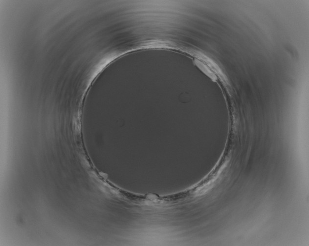 X0000110701097200906121328