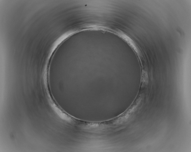 X0000110701098200906121328