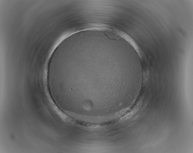 X0000110701099200906121328