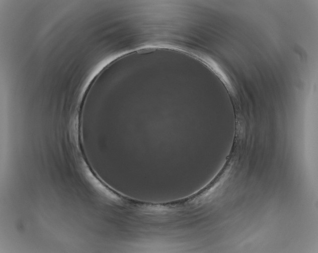 X0000110701100200906121328