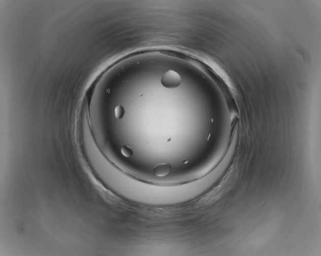 X0000110701101200906121328