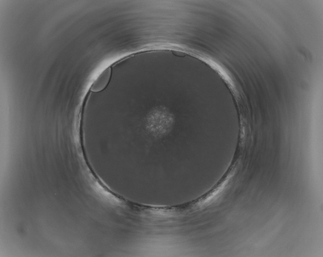 X0000110701102200906121328