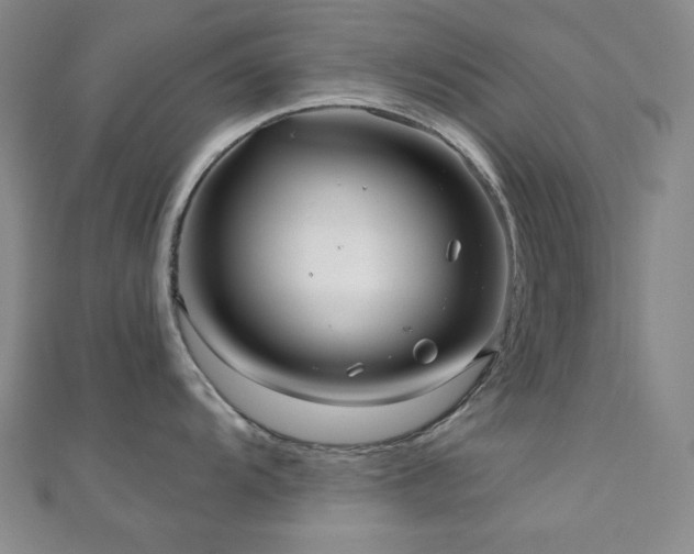 X0000110701104200906121328