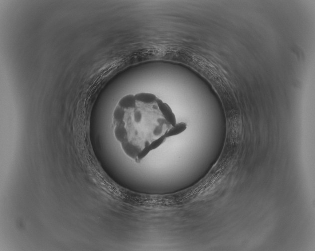 X0000110701105200906121328