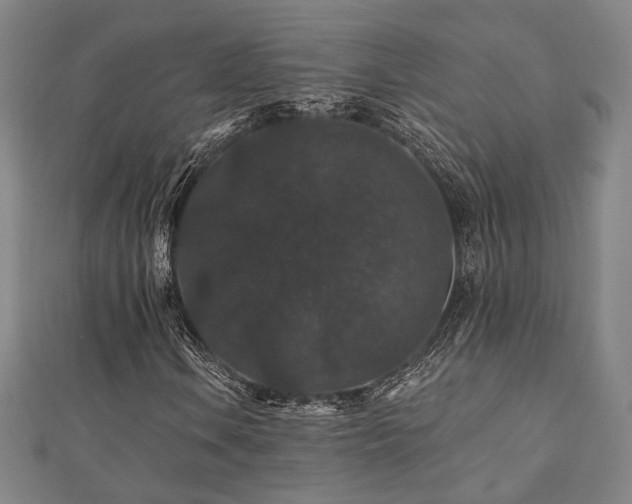 X0000110701106200906121328