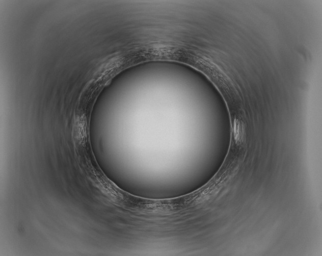 X0000110701107200906121328