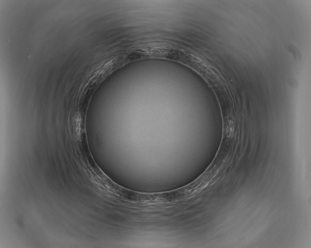 X0000110701108200906121328