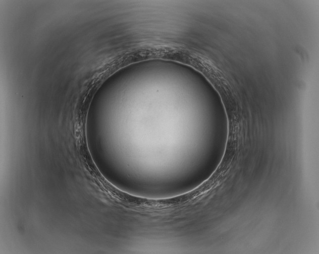 X0000110701109200906121328