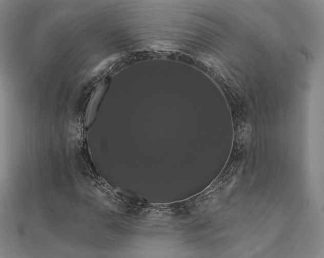 X0000110701110200906121328