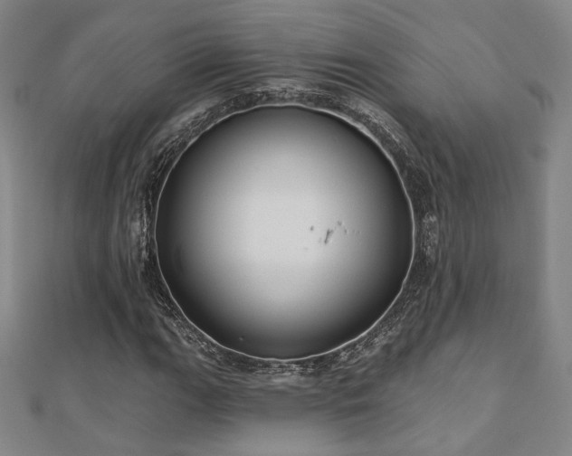 X0000110701111200906121328