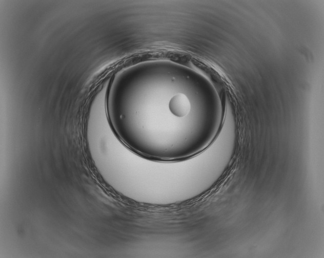 X0000110701112200906121328