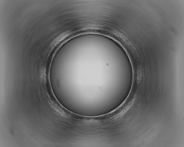 X0000110701113200906121328