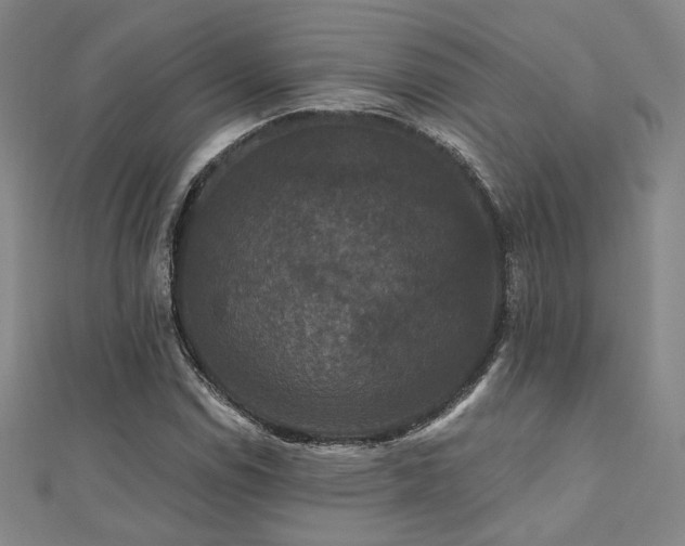 X0000110701114200906121328
