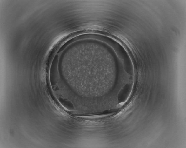 X0000110701115200906121328