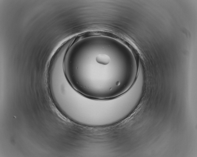 X0000110701116200906121328