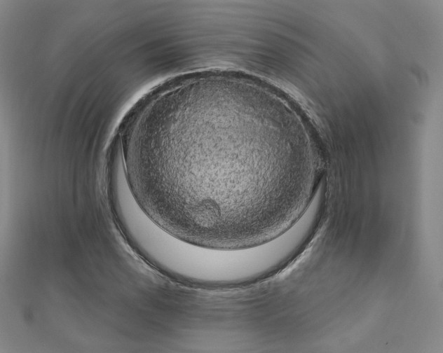 X0000110701118200906121328