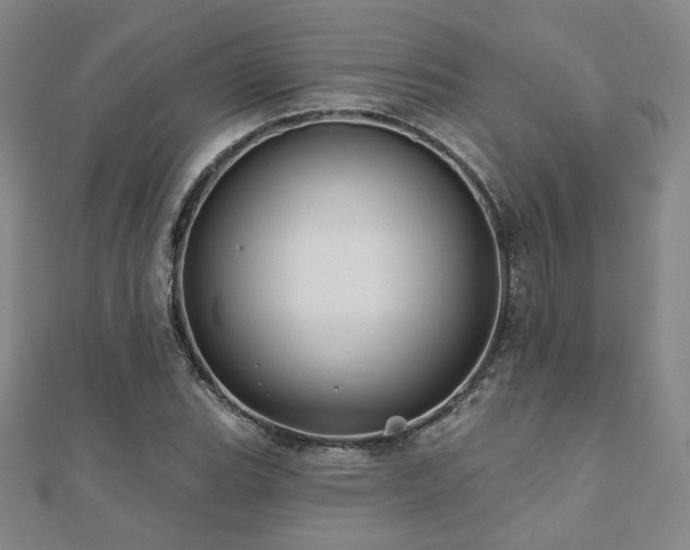 X0000110701119200906121328