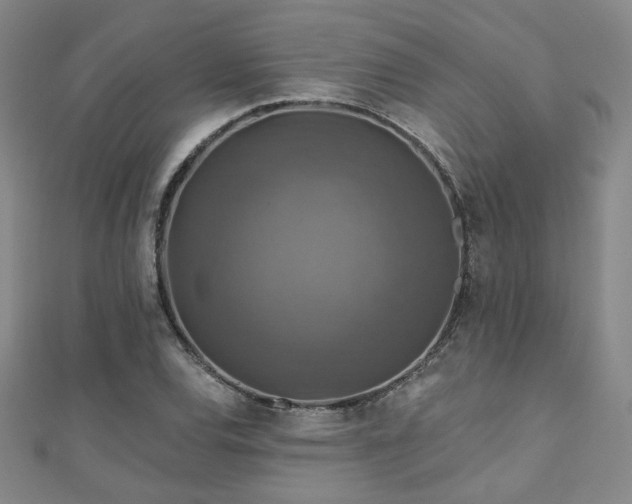 X0000110701120200906121328
