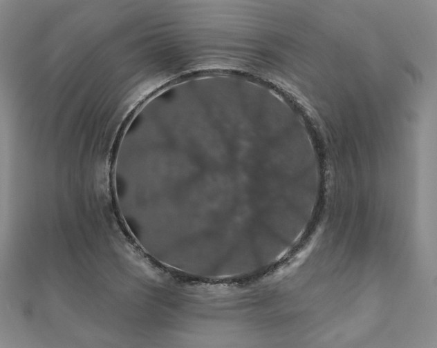 X0000110701121200906121328