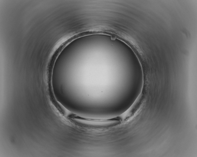 X0000110701122200906121328