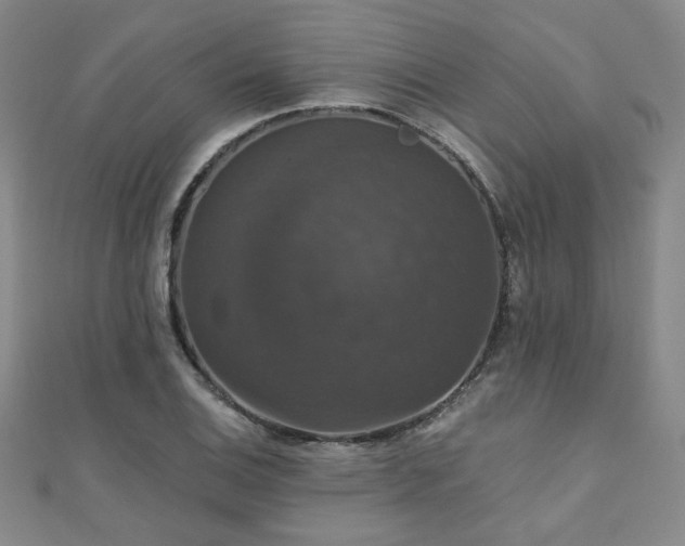 X0000110701124200906121328