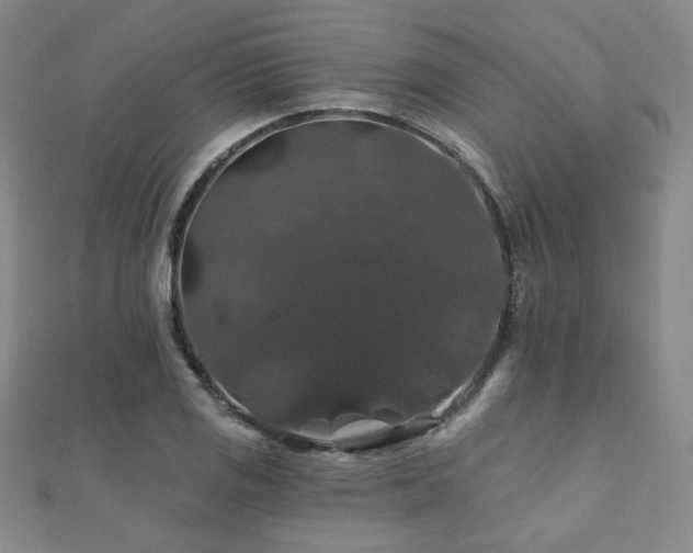 X0000110701125200906121328