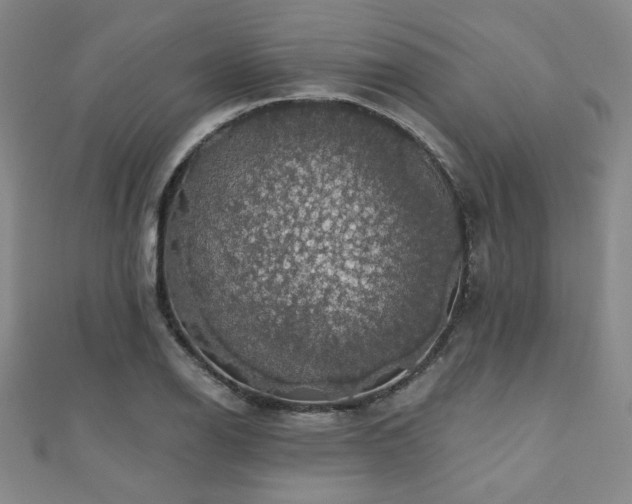 X0000110701126200906121328