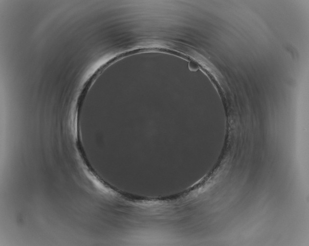 X0000110701127200906121328