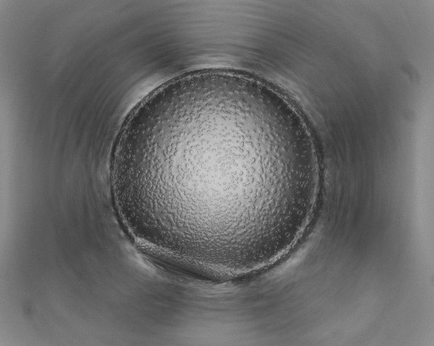 X0000110701129200906121328