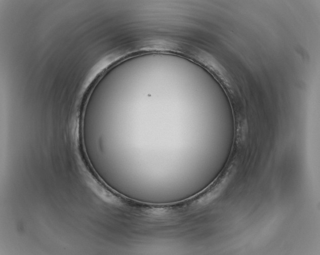 X0000110701130200906121328