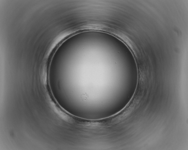 X0000110701131200906121328