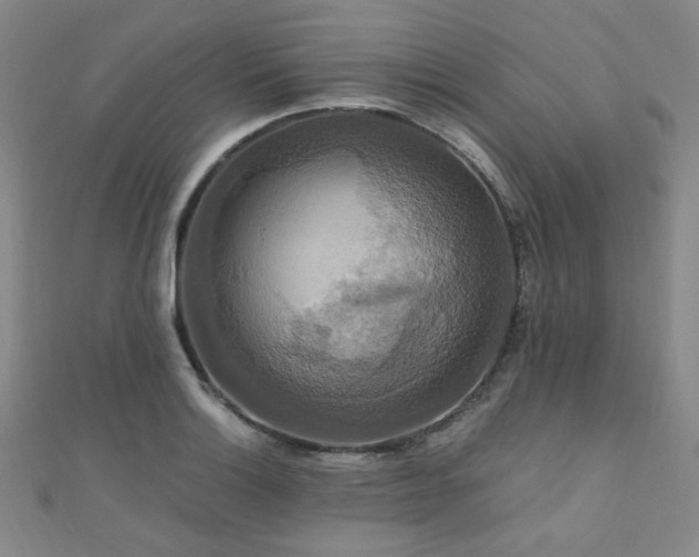 X0000110701132200906121328