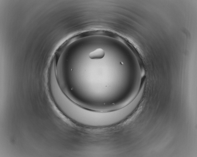 X0000110701134200906121328