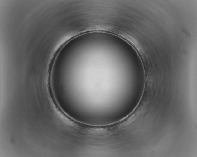 X0000110701135200906121328